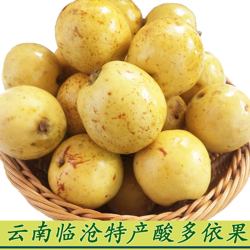 大马佐恩多依渣子果 辣椒面云南临沧特产新鲜泡酸多依果野生水果孕妇