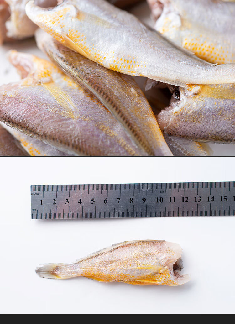 去头无冰衣新鲜冷冻小黄花鱼整箱8斤1斤小黄鱼海鱼海鲜鲜活8斤去头无