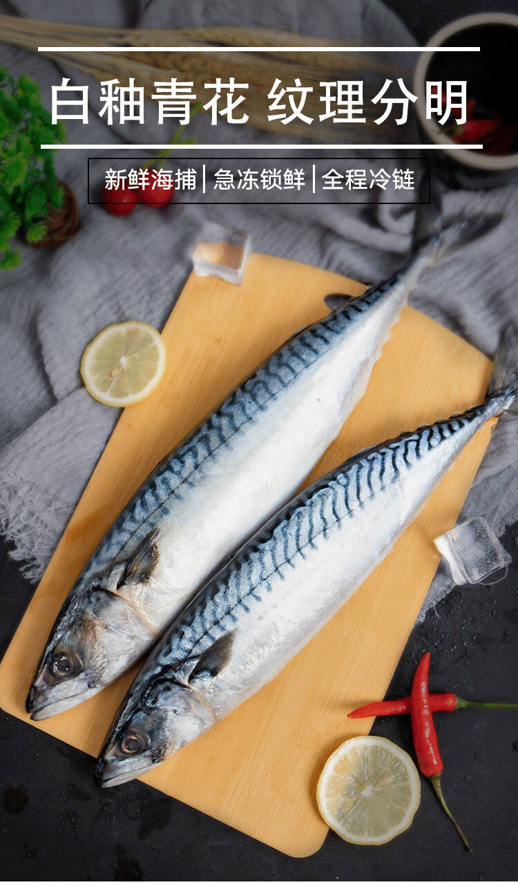 鲐鱼青占鱼新鲜青花鱼顺丰小鲅鱼冷冻日料半斤条6斤赠4斤共10斤酒店装