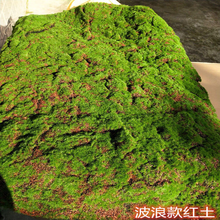 仿真青苔藓草皮草坪植物景观绿色植物场景橱窗展示盆景盆栽水族品森林