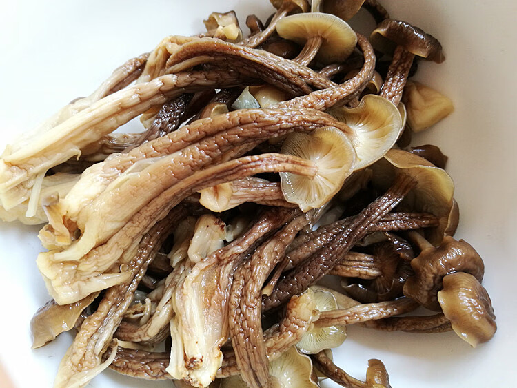 深珍鹿茸菇干货云南特产鹿茸菇菌食用菌煲汤食材100g