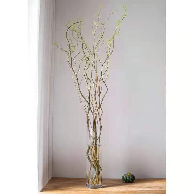 水培植物活龙柳鲜枝龙柳水培客厅卧室易成活高端软装四季落地绿植 在