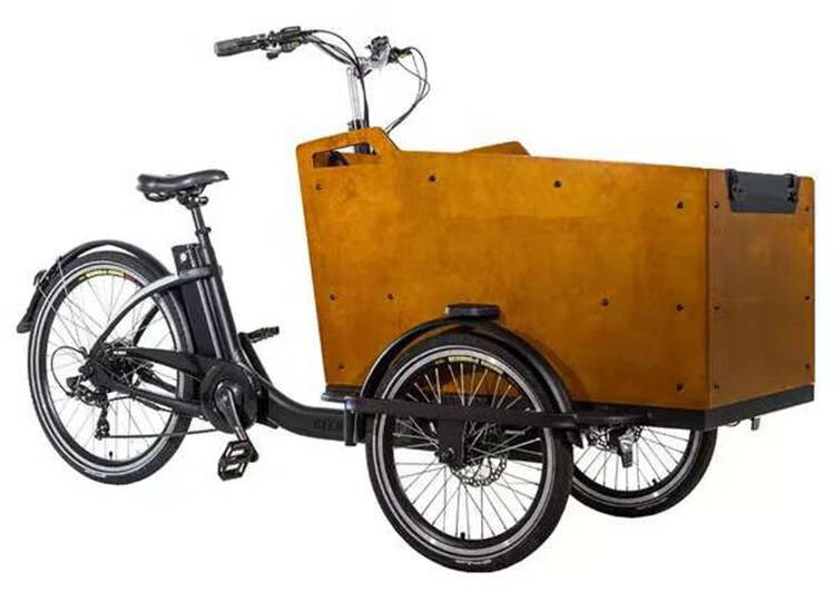 倒三轮自行车美国ferla泽西岛倒三轮上海带娃神车同款汉森cargobike