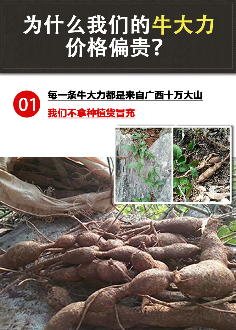 猪脚笠山莲藕金钟根选用16年新鲜牛大力粉质薯切片晒干【图片 价格