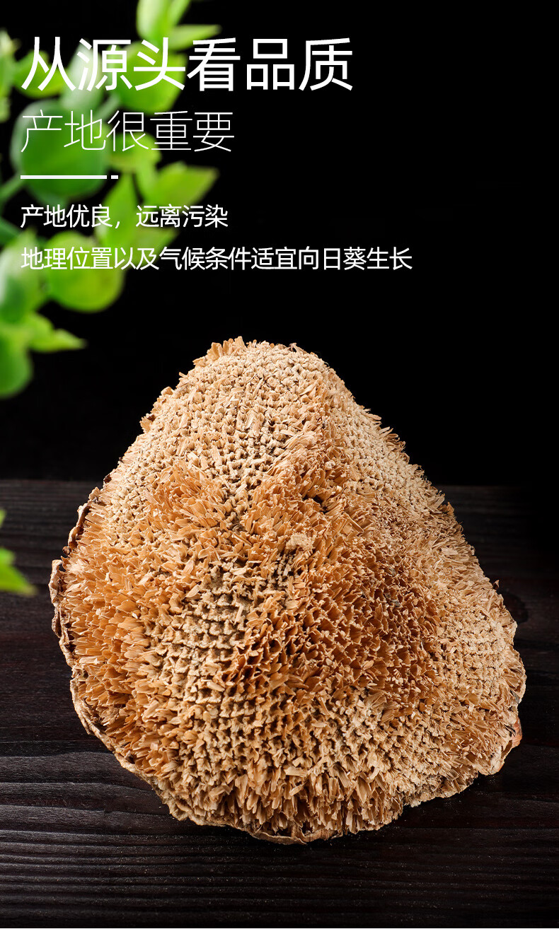 北京同仁堂向日葵花盘新鲜500g干葵花盘中药房药药材中药材葵托向日葵