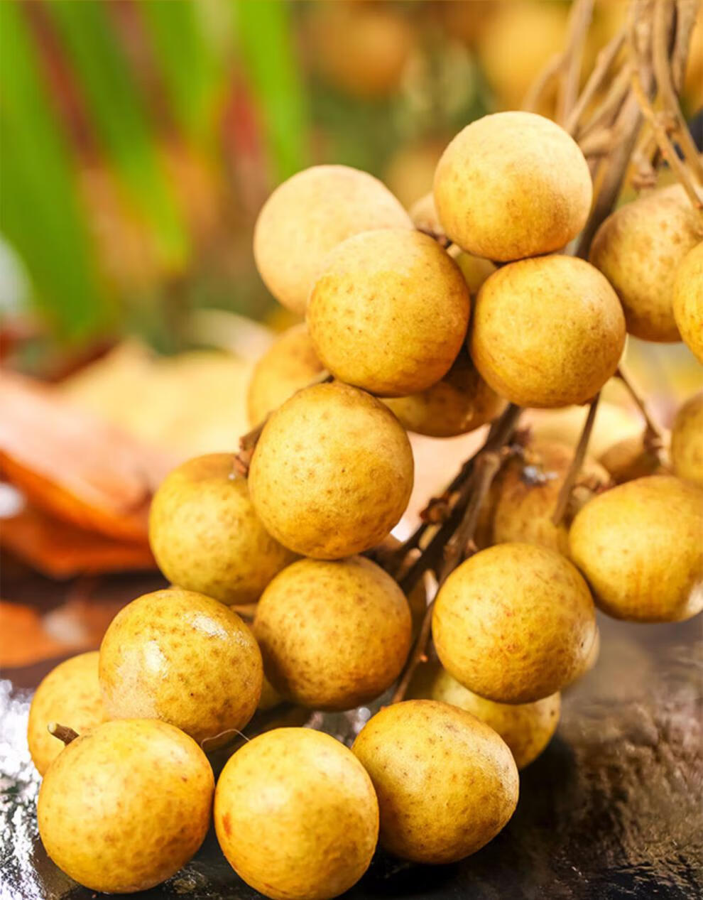 【顺丰直达】龙眼现货一级石硖鲜龙眼5斤新鲜桂圆当季广东水果整箱应