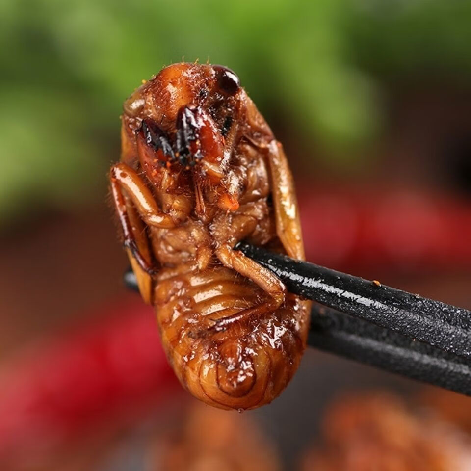 油炸知了猴山东特产炸金蝉新鲜蝉蛹即食唐僧肉香辣知了龟现炸现卖 炸