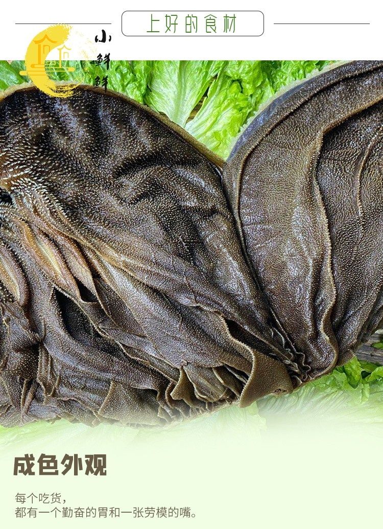 带底板整块毛肚新鲜毛肚牛百叶千层重庆火锅冒菜食材牛肚杂冰新鲜整块