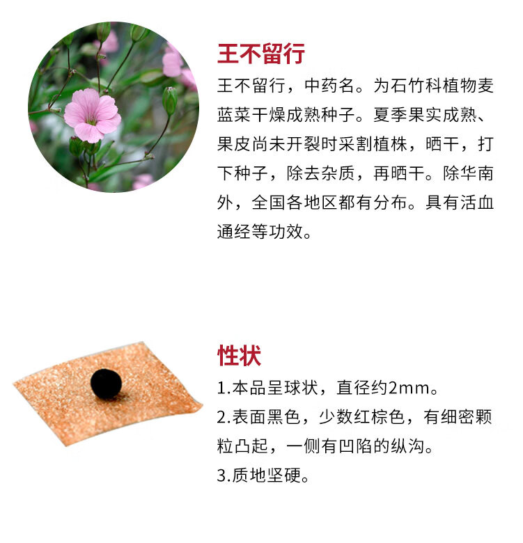 穴位压力刺激贴王不留行籽耳贴6贴kyt 600贴 l【图片 价格 品牌 报价