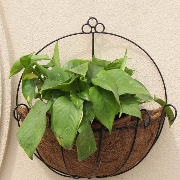 阳台花盆悬挂式花盆铁艺椰棕吊盆吊兰盆椰棕吊篮垂吊盆 花瓣边框悬挂