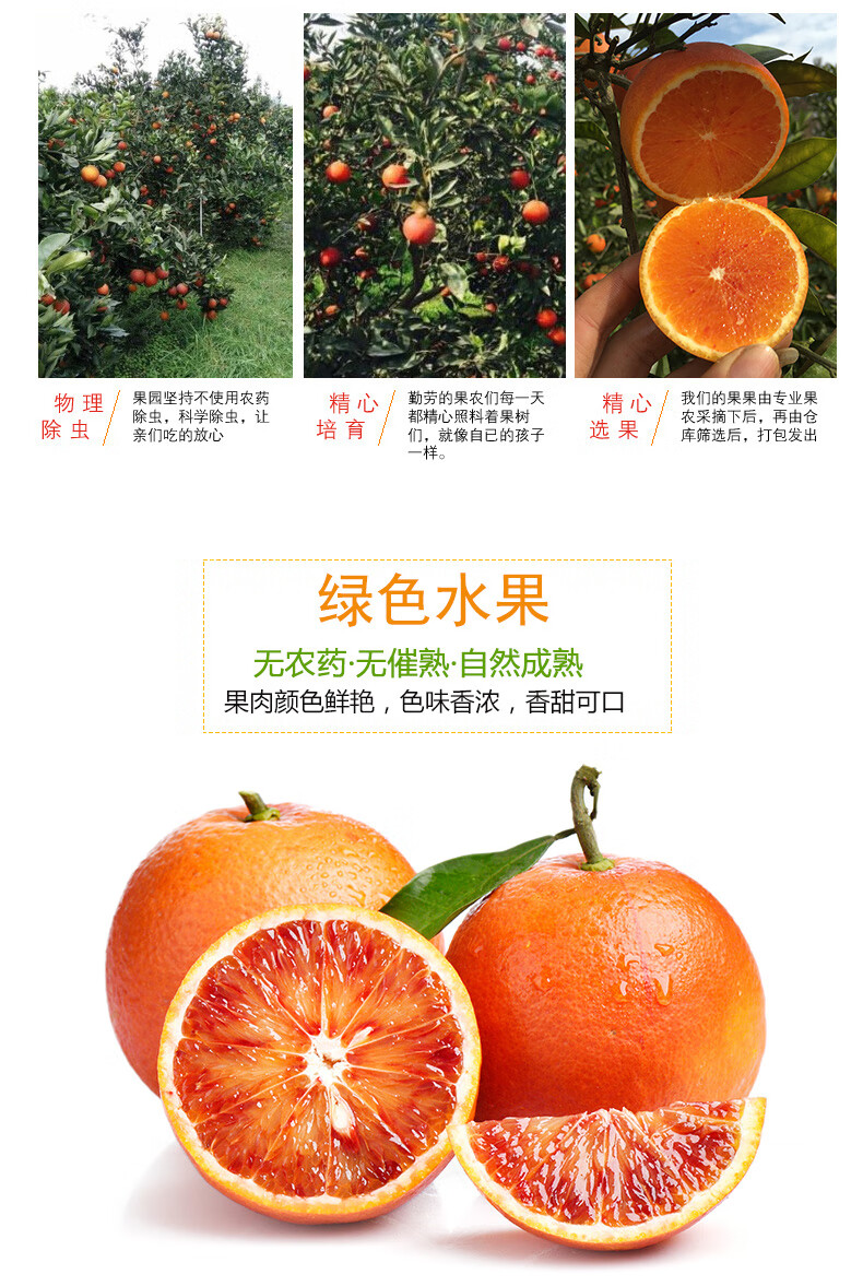 正宗四川资中血橙 四川资中塔罗科血橙10斤整箱新鲜当季孕妇水果应季