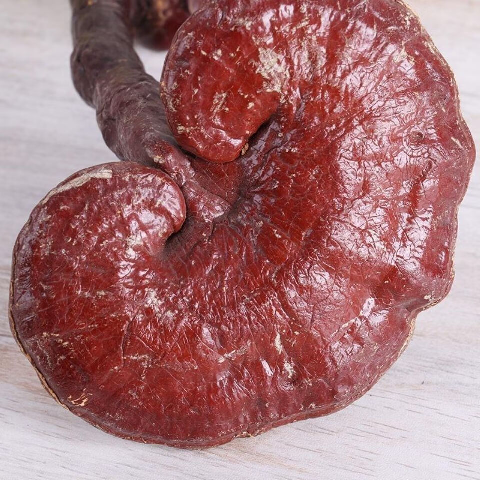 赤灵芝个新货红灵芝 整灵芝 灵芝片 赤灵芝粉 灵芝孢子 八年生500克