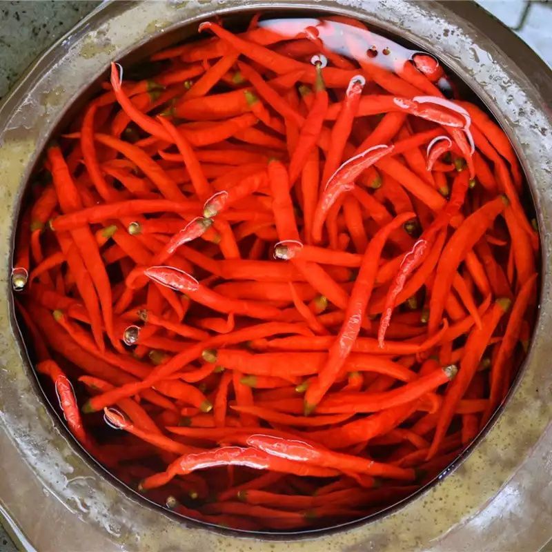 四川泡椒腌制泡辣椒海椒老坛泡红辣椒农家正宗自制泡椒二荆条1500g