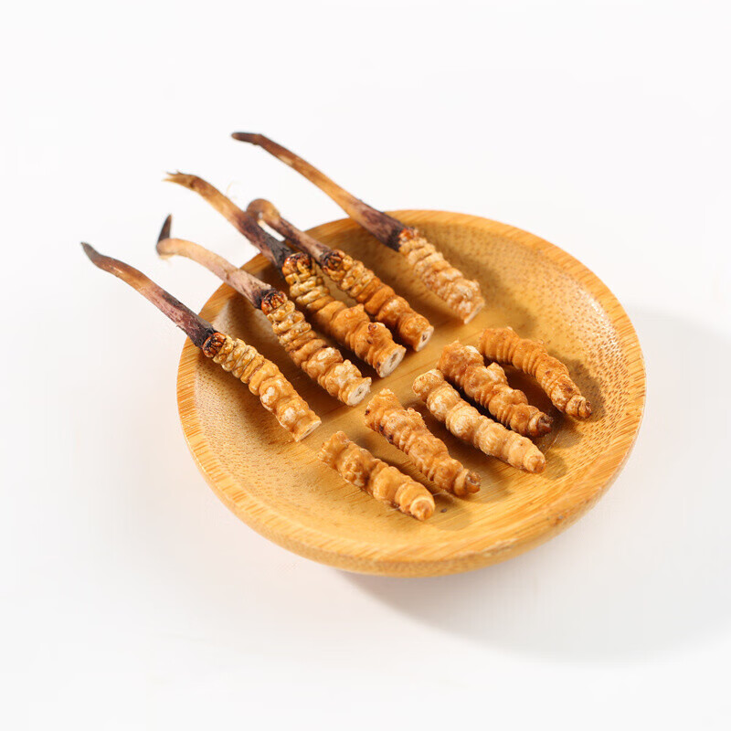 新鲜虫草西藏高海拔头期冬虫夏草虫草鲜虫草04克根50根装