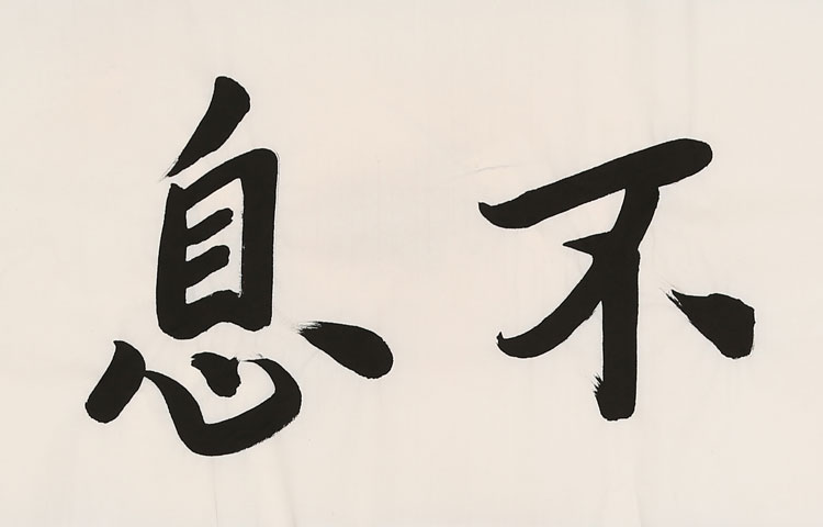 名人赵忠祥书法四尺条幅行书毛笔字画作品纯手绘名家精品书画收藏纯