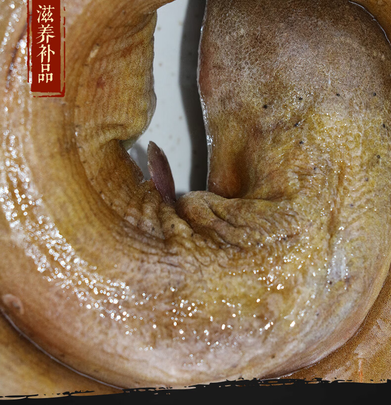 新鲜食蟹豆齿鳗闽南土鳗龙刺鳗骨鳗生鲜鱼类海鲜水产益气滋阴补虚壮腰