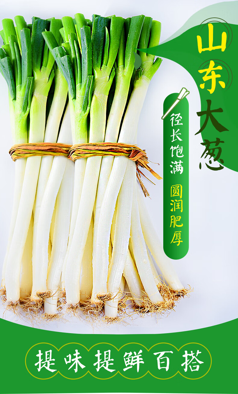 京鲜配送章丘大葱新鲜3斤5斤当季大葱蘸酱农家蔬菜长葱5斤