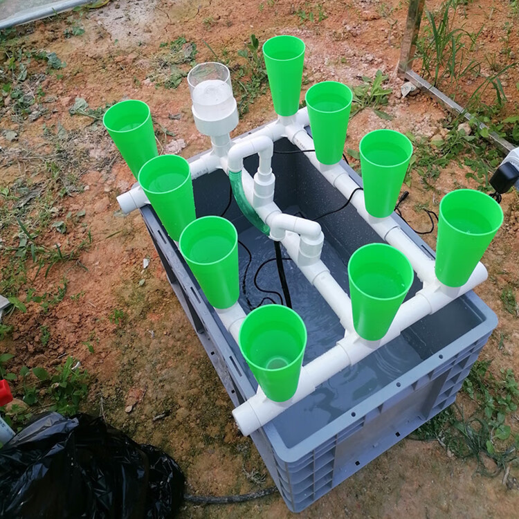 阳台蔬菜鱼共生箱 鱼菜共生虹吸设备阳台免换水生态过滤蔬菜鲜花潮汐