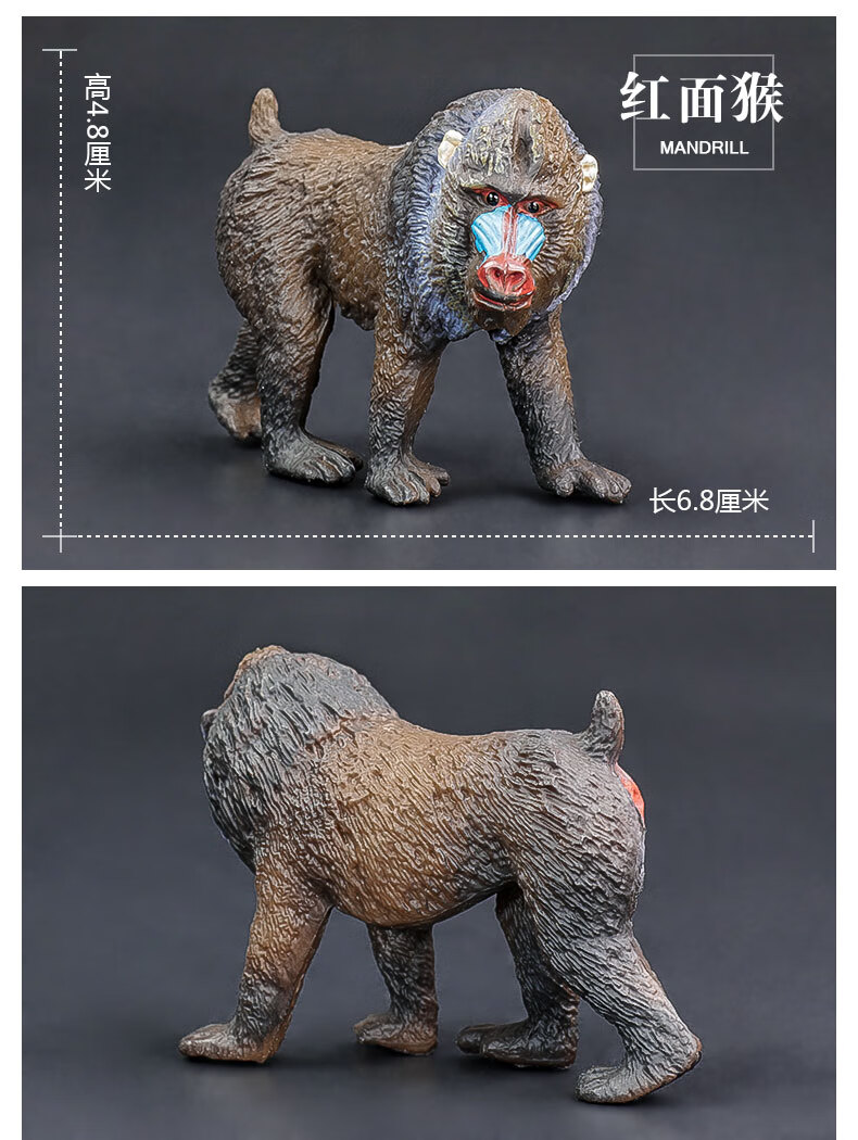 儿童认知仿真动物模型黑猩猩家族猿猴子树懒野生玩具橡胶玩具摆件收藏