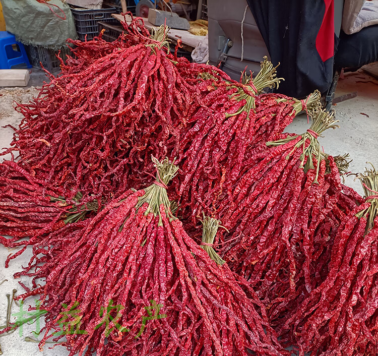 贵州大方特产皱椒鸡爪辣二荆条海椒长辣椒肉厚微辣特香干辣椒500g
