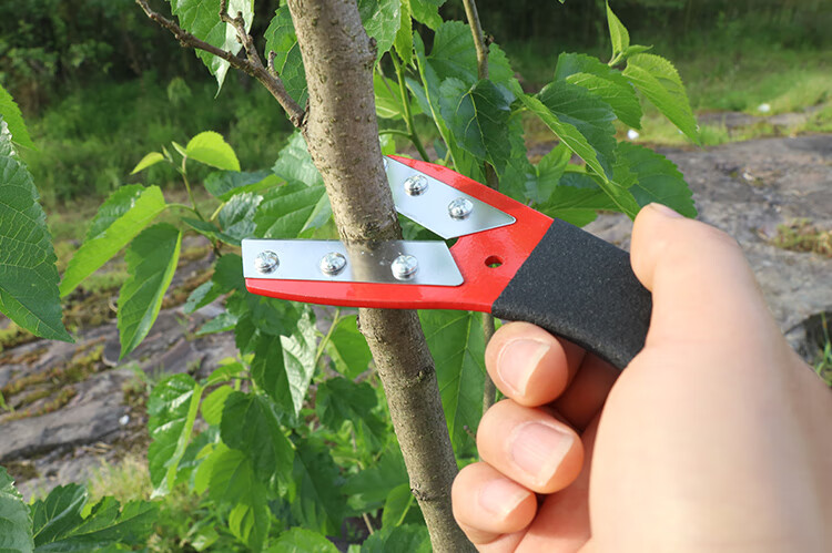 y字型环割刀园林果树环割刀环切刀环剥刀环割剪环割刀片剥树皮刀大号