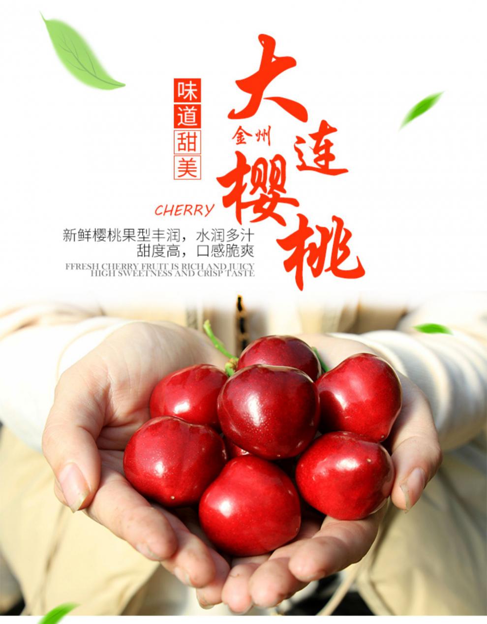 大连金州美早大樱桃顺丰现货现摘应当季孕妇宝宝水果砂蜜豆车厘子梅枣