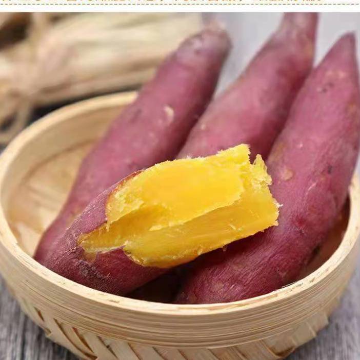 高端蜜薯红瑶玛莎莉黄金红薯软糯极甜超蜜薯香薯黄金蜜薯5斤中果畅享
