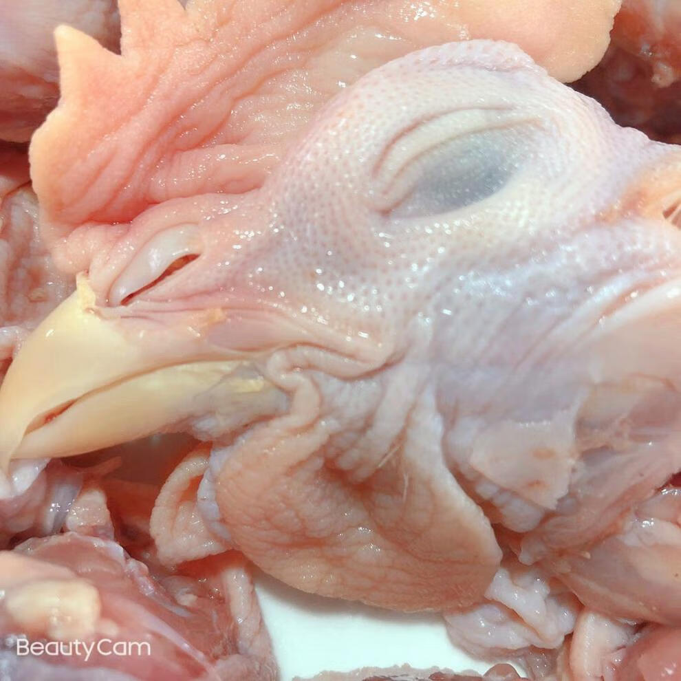 5斤青岛正大生鸡头新鲜冷冻鸡头鸡头鸡冠不保证大小