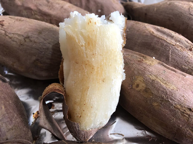 山东哈密冰糖薯 新鲜白心蜜薯糖心红薯超甜沙地白薯白地瓜 中果 5斤