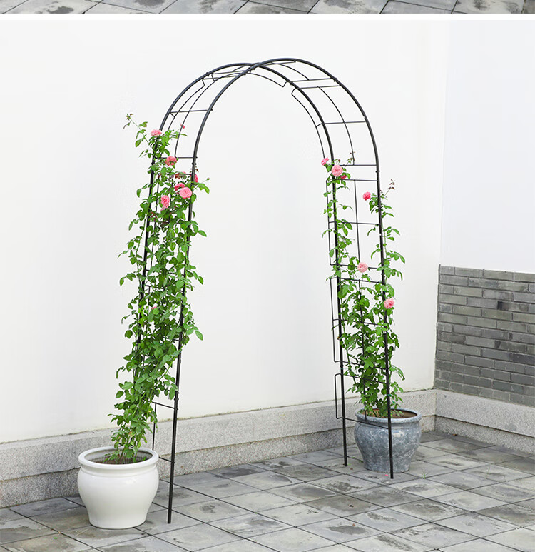 拱门花架爬藤架铁艺庭院户外月季花支架铁线莲花园藤本植物架装饰拱门
