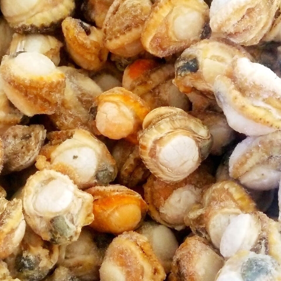 lism新鲜速冻扇贝肉 鲜活扇贝夏威夷贝新鲜扇贝肉一份3斤顺丰海鲜 20