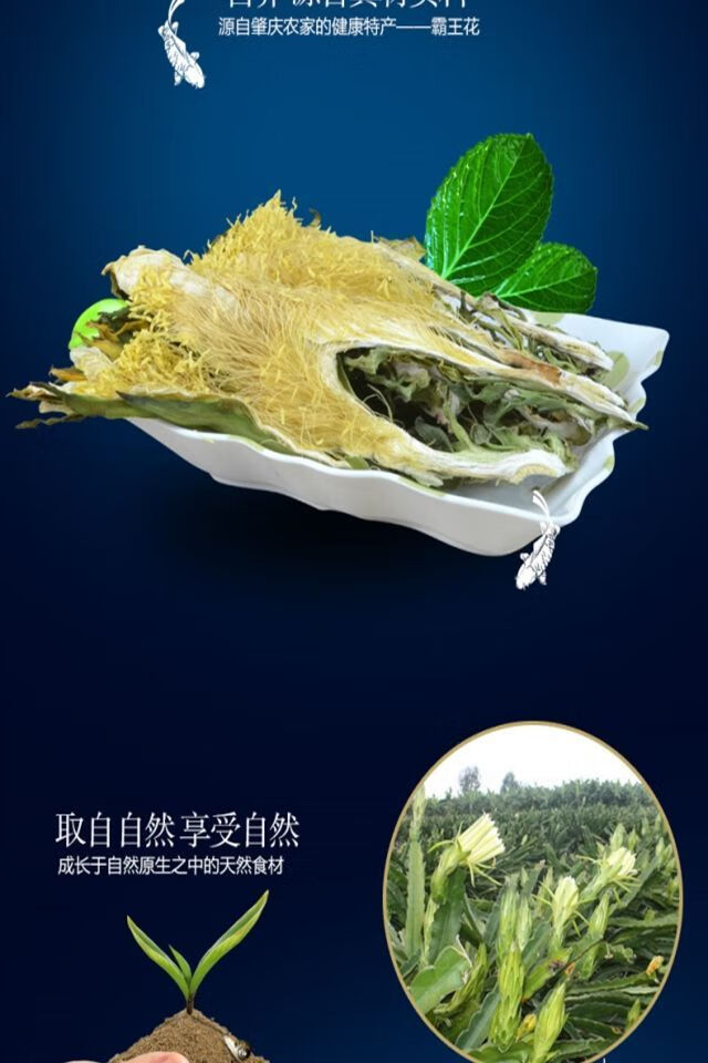 无硫霸王花干货七星剑花干昙花干农家干货广东煲汤材料肇庆土特产50克