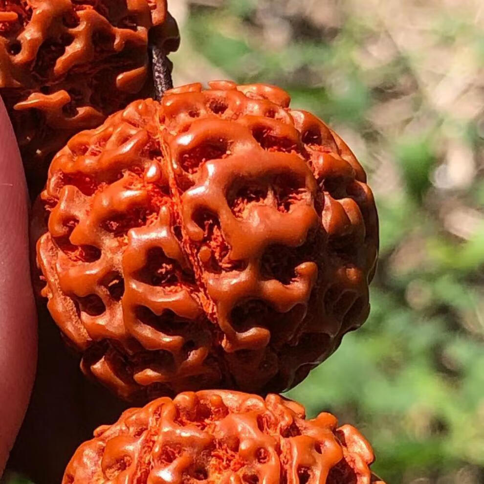 机刷印尼金刚菩提手串男士大金刚菩提子佛珠手链文玩念珠七瓣八瓣