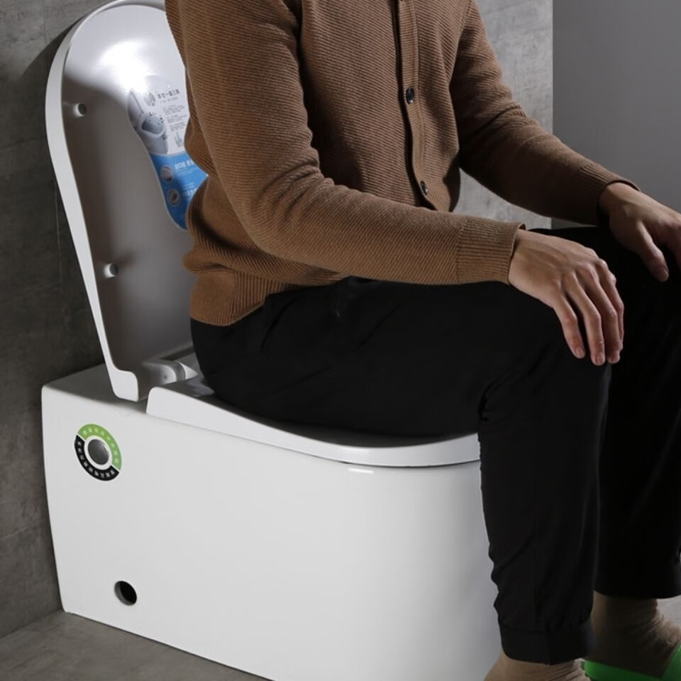 toto卫浴蹲坐两用马桶一体双用可蹲可坐无水箱脉冲家用抽水坐便器质保