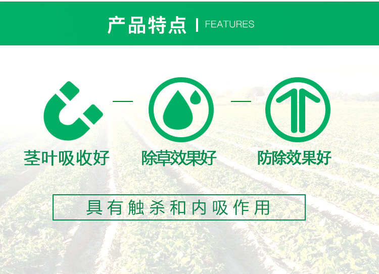 富美实 韩秋好 10%恶唑酰草胺 水稻一年生禾本科杂草除草剂100ml 1000