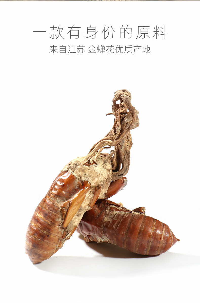北京同仁堂金蝉花250g中药材2019新货知了花金蚕花虫草粉特级500g 级