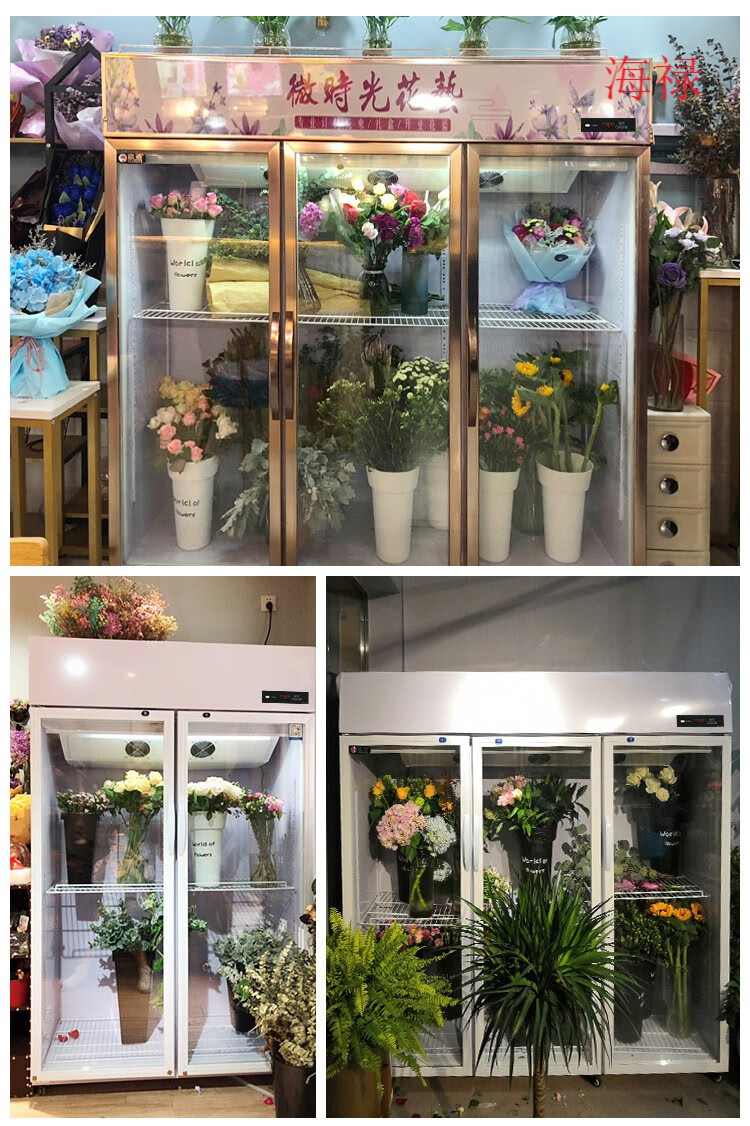 新款鲜花保鲜柜三面玻璃展示风冷藏柜冰箱花店冷柜冰柜商用大容量京丞