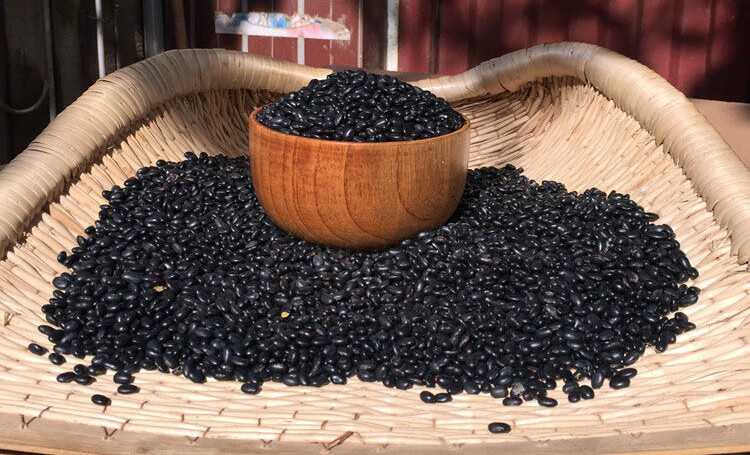 农家自种5斤黑豆老品种黄芯黑小豆醋泡煮粥打豆浆发豆芽半斤肾形小