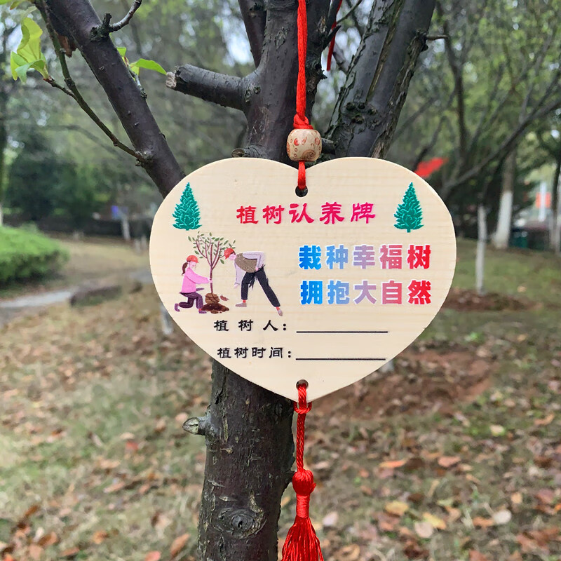 索拉图植树节挂牌装饰木片手工diy幼儿园小学活动吊卡许愿树小木牌