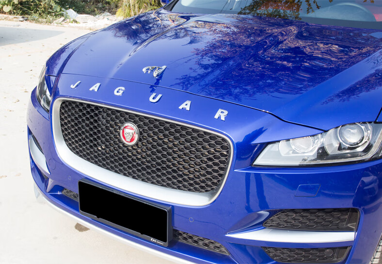 适用于捷豹车头立体标fpacexflxjxelepace改装适用引擎盖机头立标捷豹