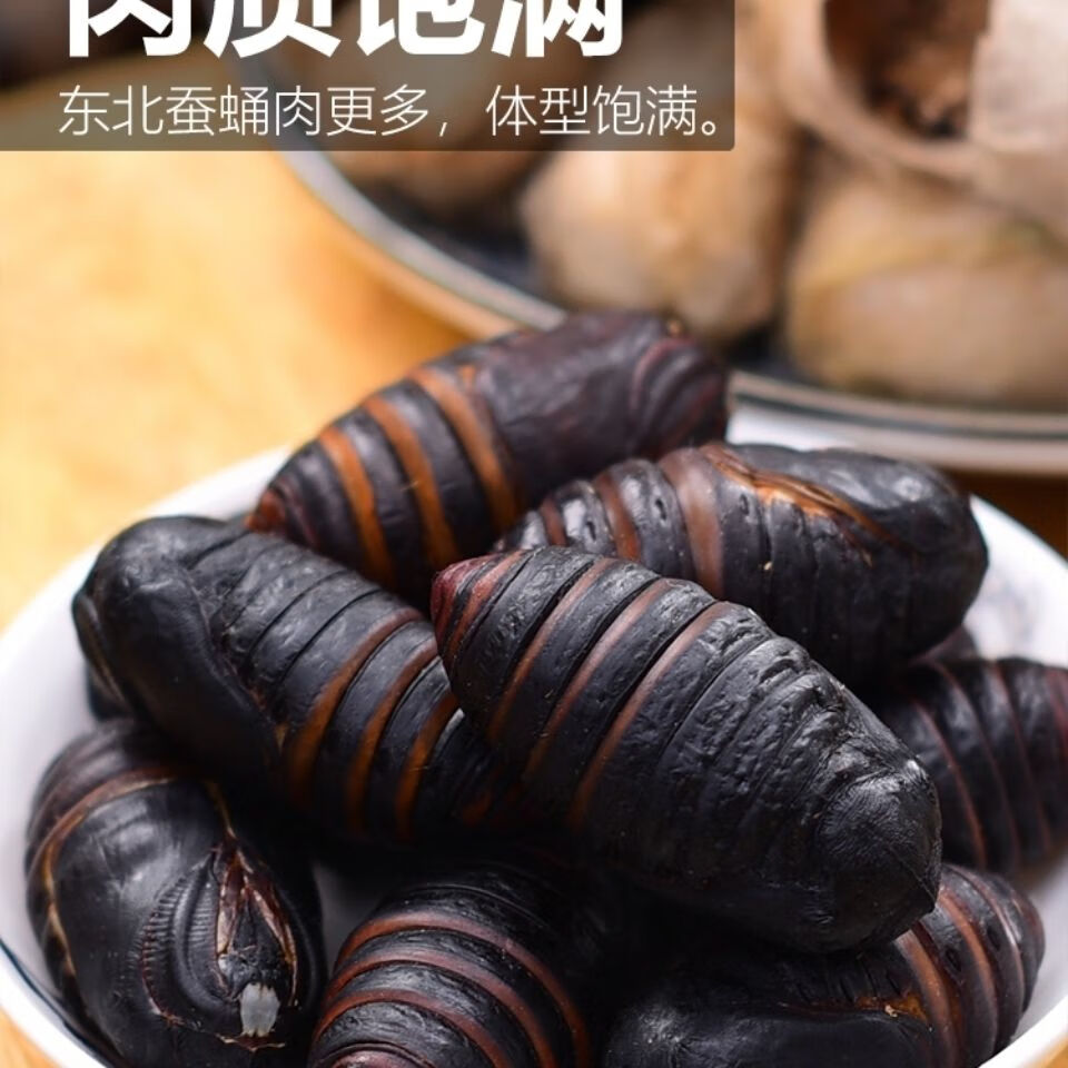 东北丹东蚕蛹特产柞蚕蛹新鲜活蚕蛹大黄蚕蛹大茧蛹蝉蛹 2斤【图片