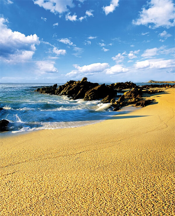 大海沙滩蓝天白云海边椰树风景主播拍视频段子直播背景布3d立体 851