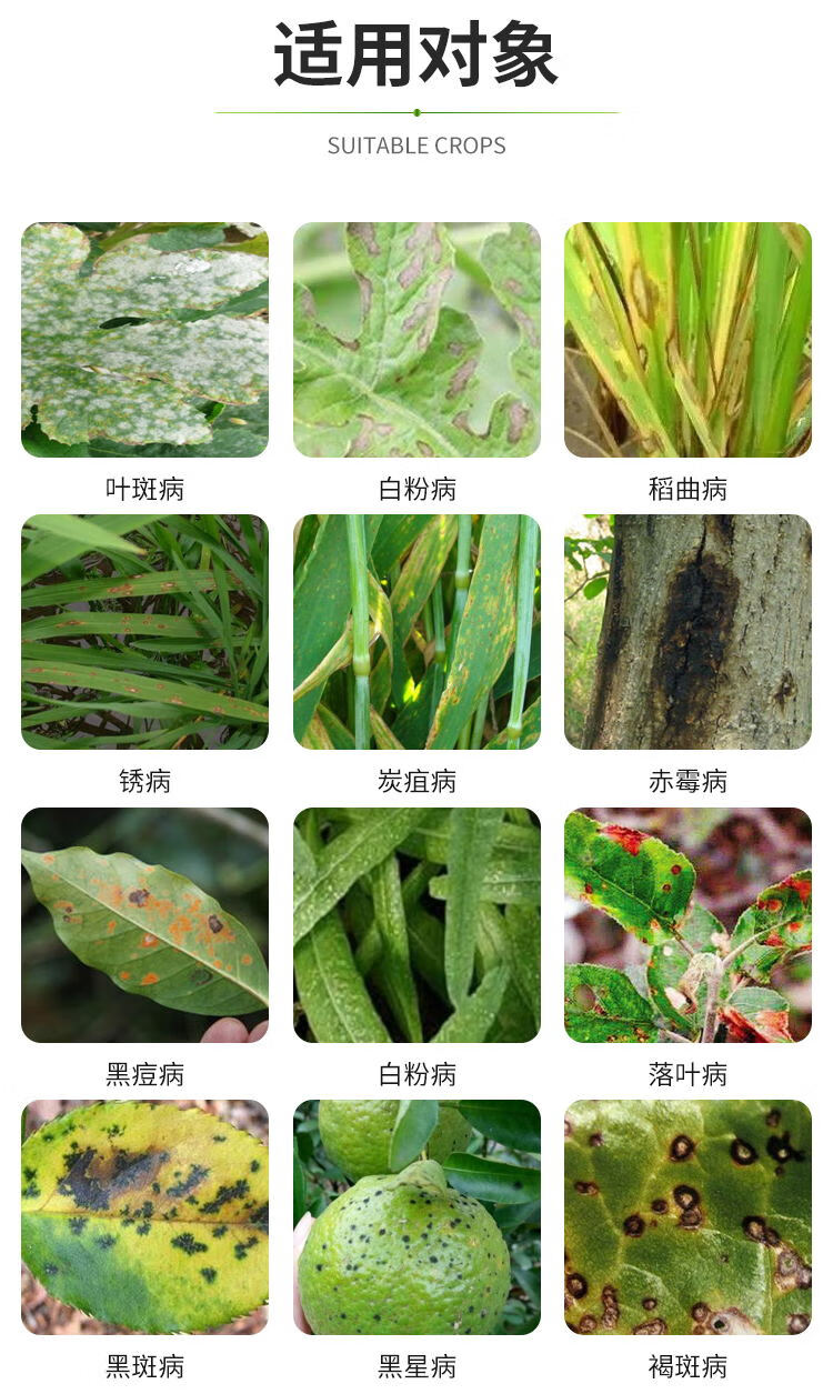 43戊唑醇多菌灵剂斑点落叶病叶斑病疫病花卉蔬菜果树农药100g