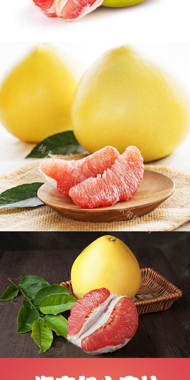 海南三红柚子新鲜水果红心葡萄柚子补充叶酸孕妇水果一颗装