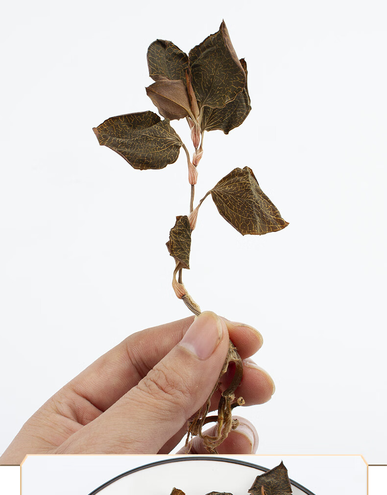 康中尊福建金线莲干品整株正宗南靖林下金钱莲养生花茶送礼盒装