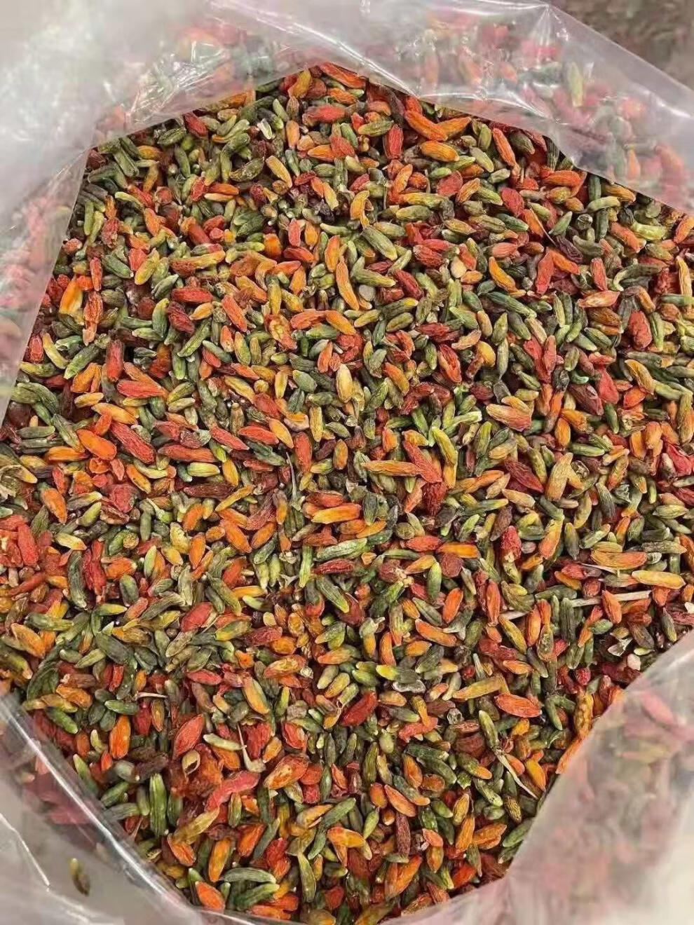 新货正宗长白山野生枸杞特级野生大粒枸杞青枸杞没有硫免洗 野生枸杞