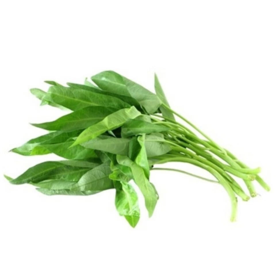 柳叶空心菜种籽四季播阳台农家田园春夏季大叶通心菜有机蔬菜种子