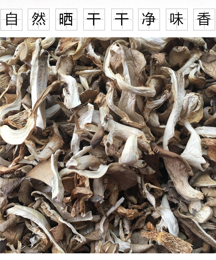 平菇片干货1斤农家新货云南特产凤尾菇蘑菇干平菇菌包苏伯250g