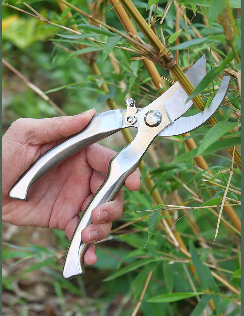 花剪剪枝剪刀修枝剪园林园艺省力修剪树枝果树嫁接摘果用剪子鸿致v601