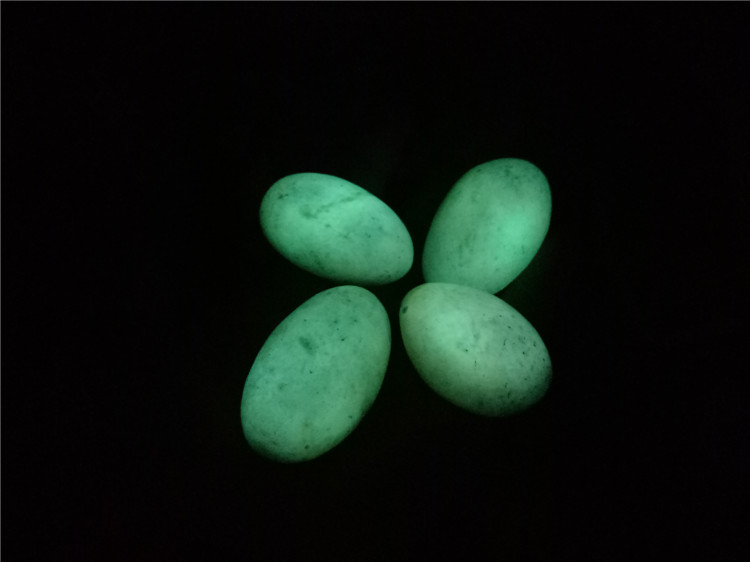 夜明珠原石天然夜光石夜光石原石光奇石zd1公斤左右圆石